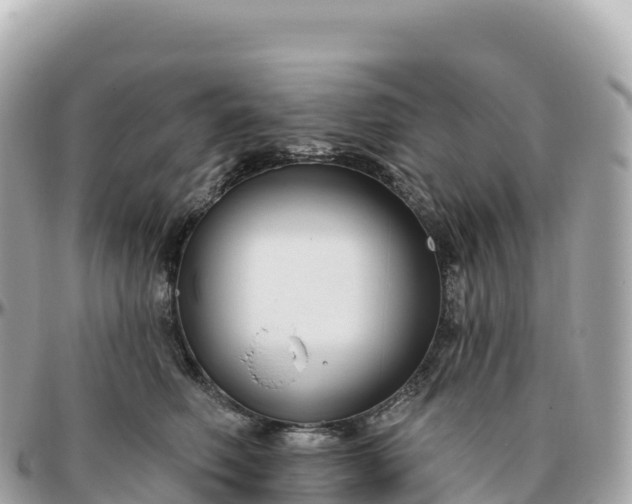 X0000095900614200801251225