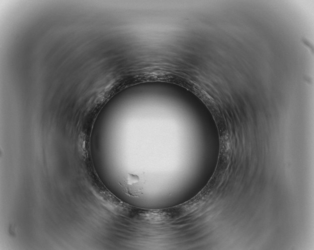 X0000095900615200801251225