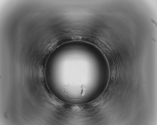 X0000095900616200801251225