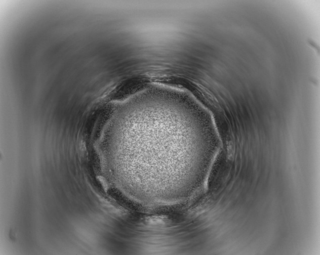 X0000095900618200801251225