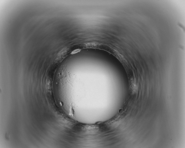 X0000095900619200801251225