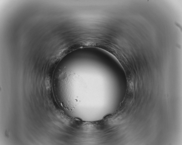 X0000095900620200801251225