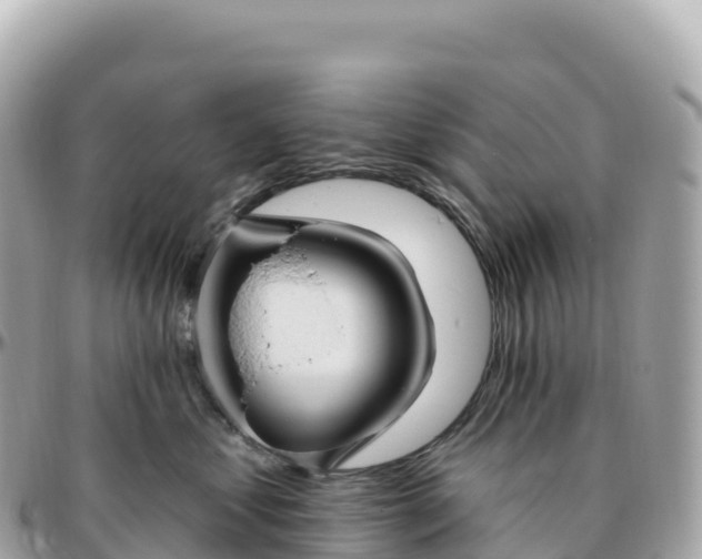 X0000095900621200801251225