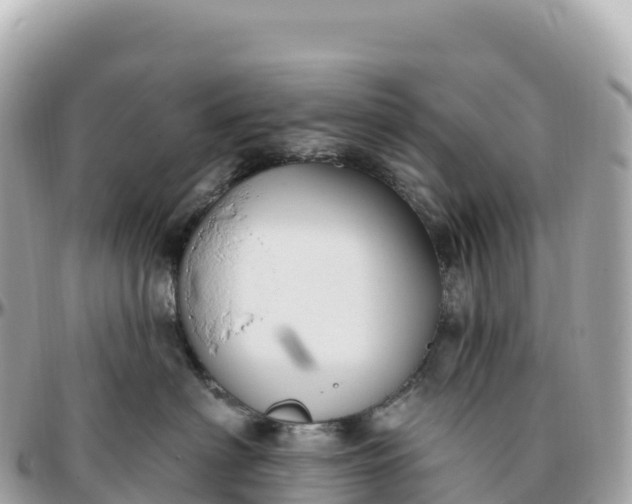 X0000095900622200801251225