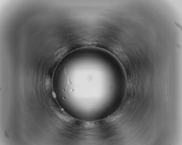 X0000095900623200801251225