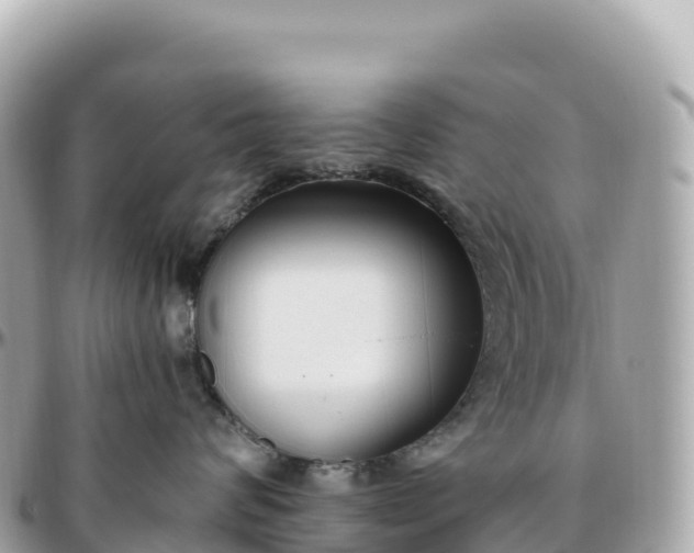 X0000095900624200801251225