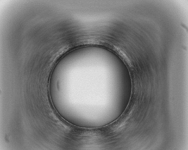 X0000095900625200801251225