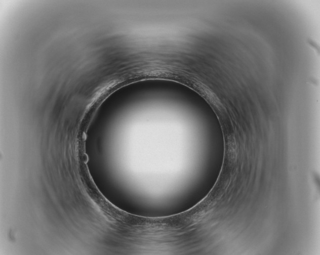 X0000095900626200801251225