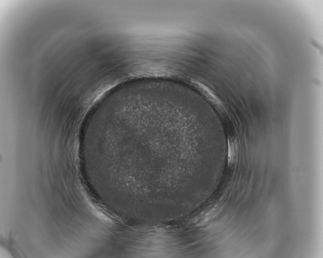 X0000095900627200801251225