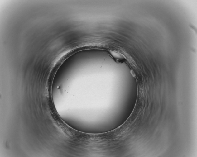 X0000095900628200801251225