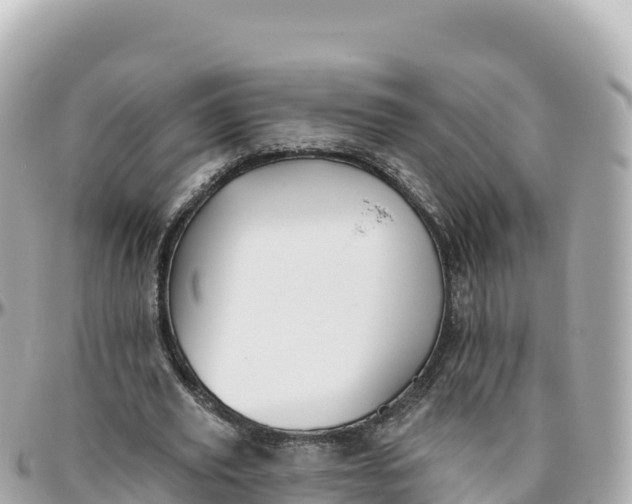 X0000095900629200801251225