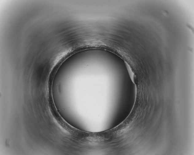 X0000095900630200801251225