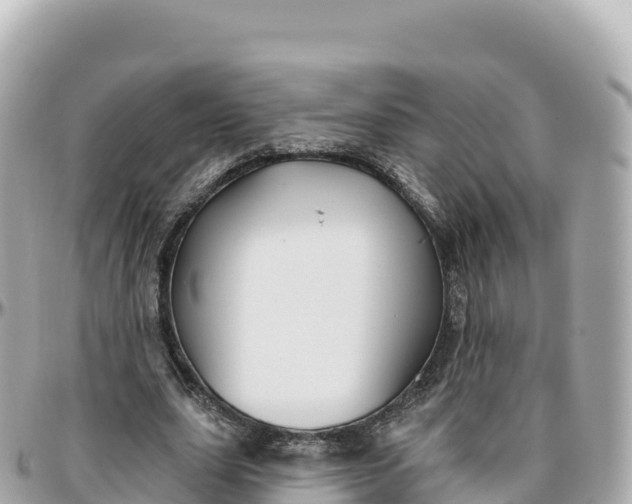 X0000095900631200801251225