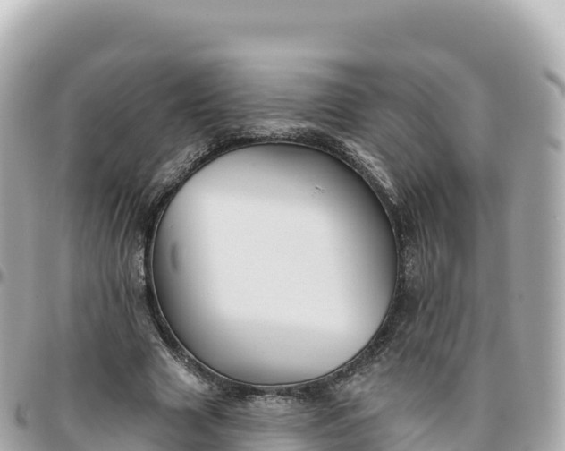 X0000095900633200801251225