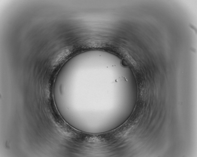 X0000095900635200801251225