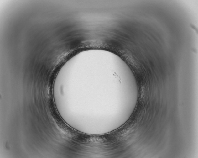 X0000095900636200801251225