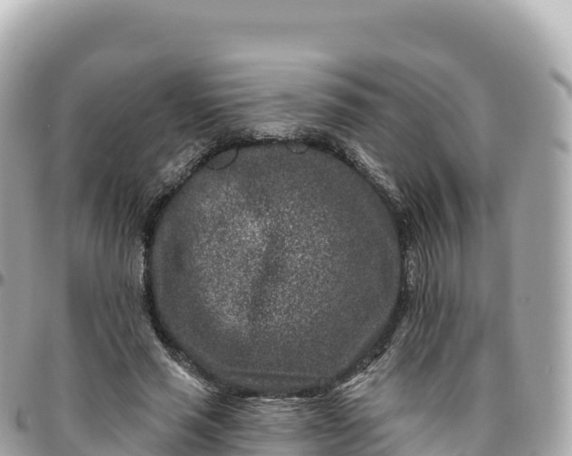 X0000095900637200801251225