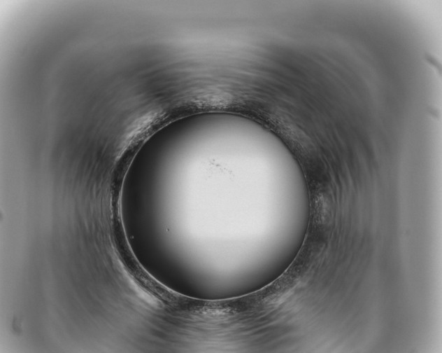 X0000095900638200801251225