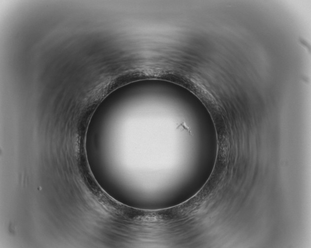 X0000095900639200801251225