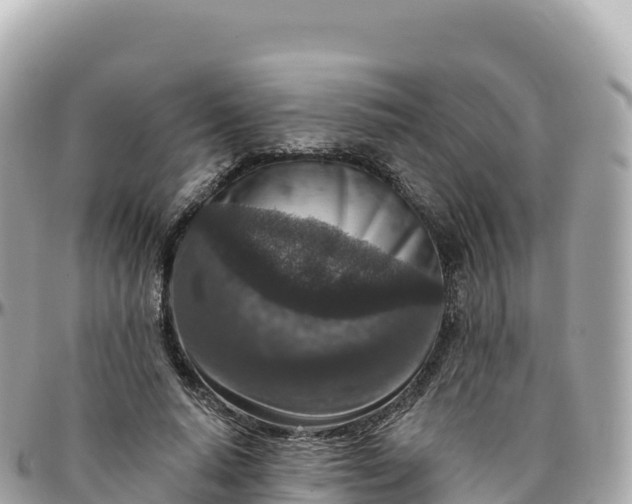 X0000095900640200801251225