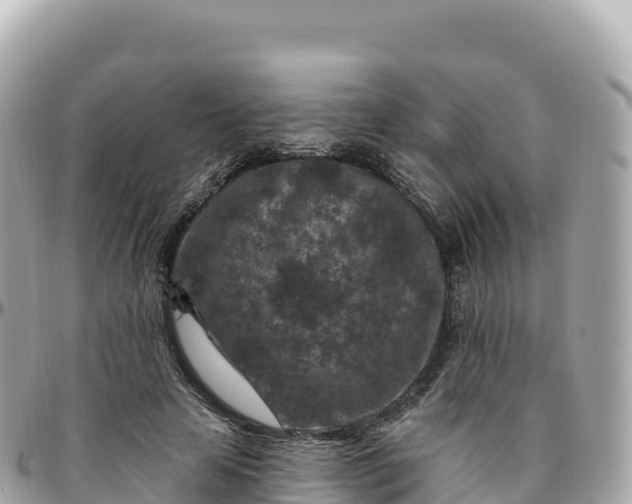 X0000095900641200801251225