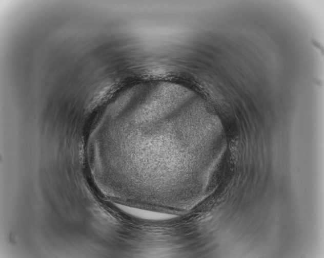 X0000095900642200801251225