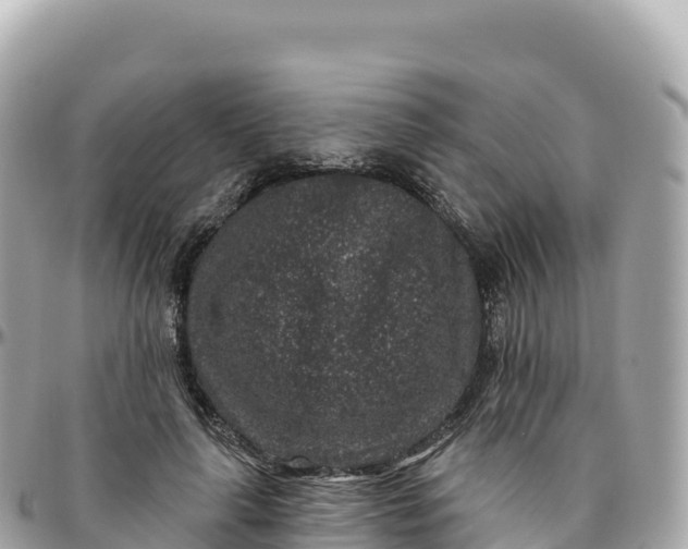 X0000095900643200801251225