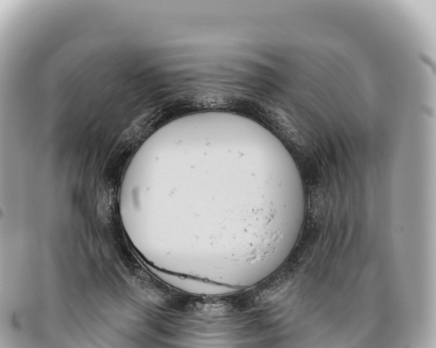 X0000095900645200801251225