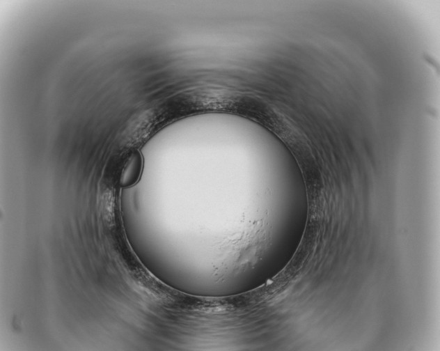 X0000095900646200801251225