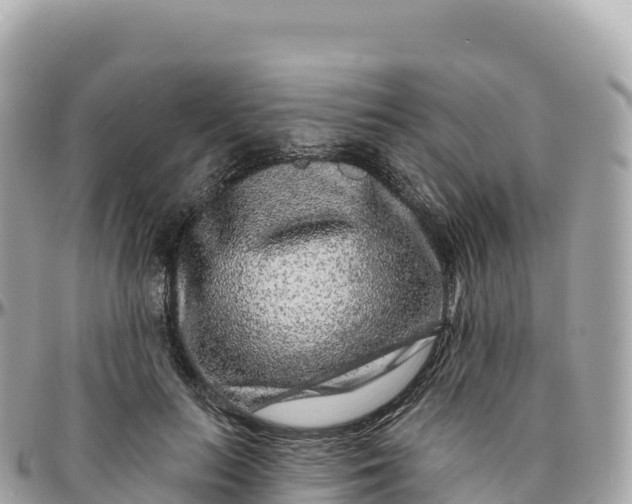 X0000095900647200801251225