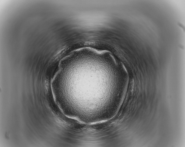 X0000095900648200801251225