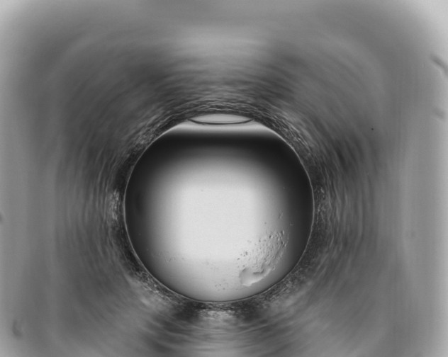 X0000095900649200801251225