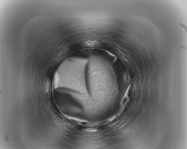 X0000095900651200801251225