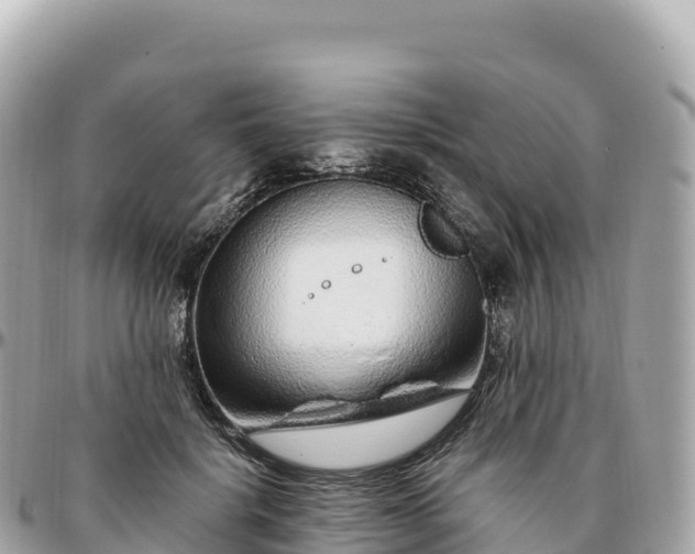 X0000095900652200801251225