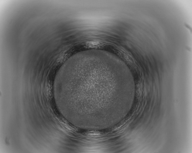 X0000095900653200801251225