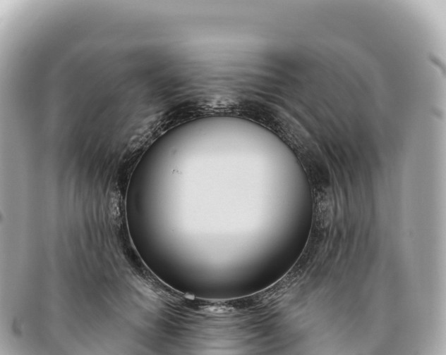 X0000095900654200801251225