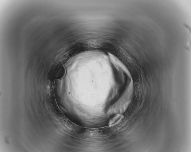 X0000095900655200801251225