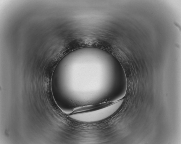 X0000095900656200801251225