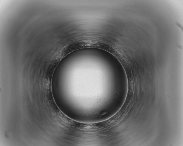 X0000095900657200801251225