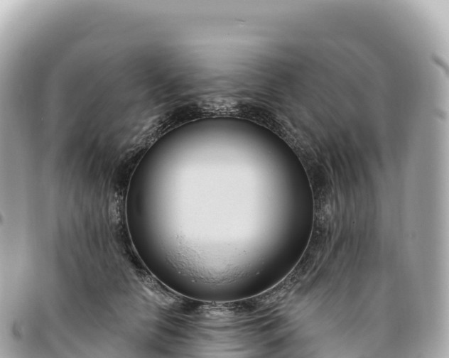 X0000095900658200801251225