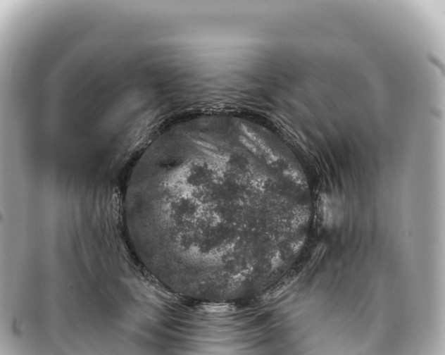 X0000095900659200801251225