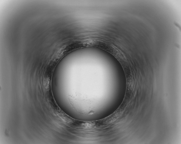 X0000095900660200801251225