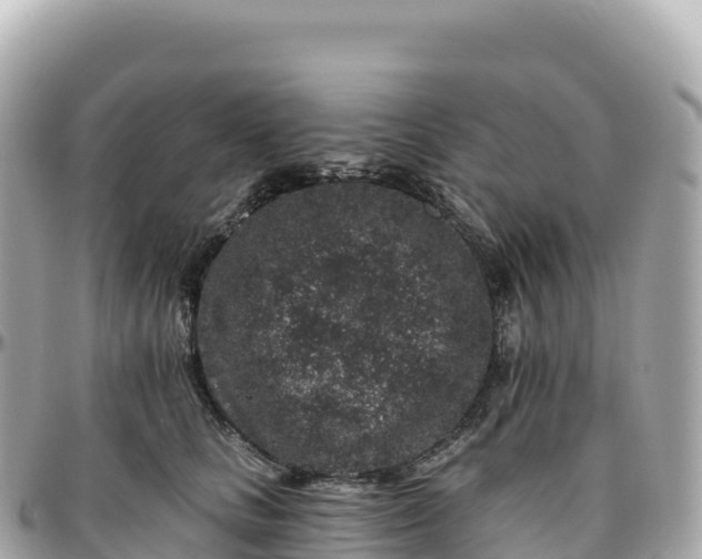 X0000095900661200801251225