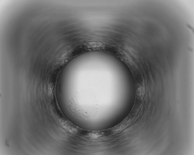 X0000095900662200801251225