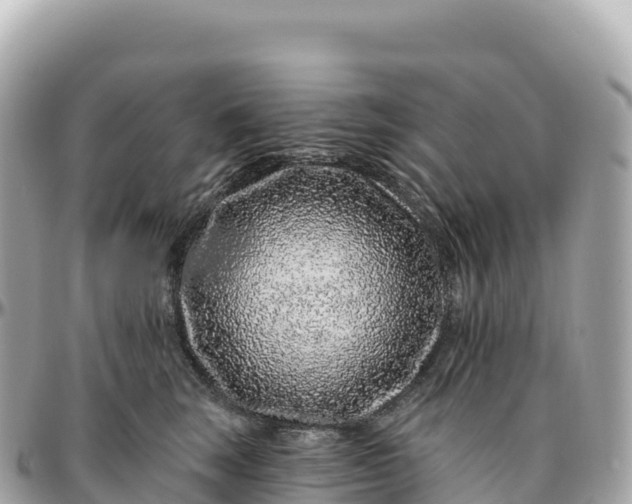 X0000095900663200801251225