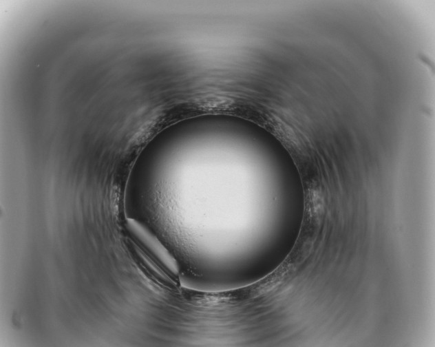 X0000095900664200801251225