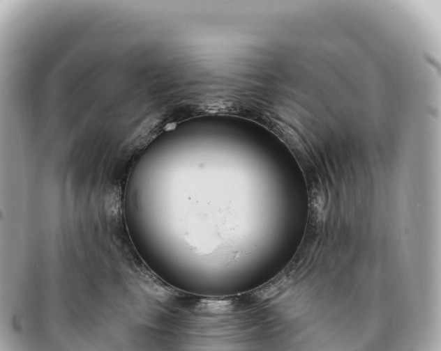 X0000095900665200801251225