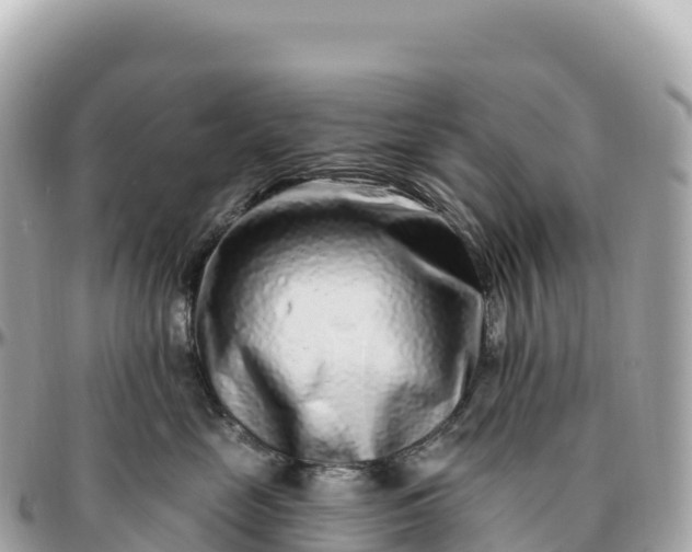 X0000095900669200801251225