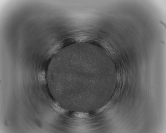 X0000095900670200801251225