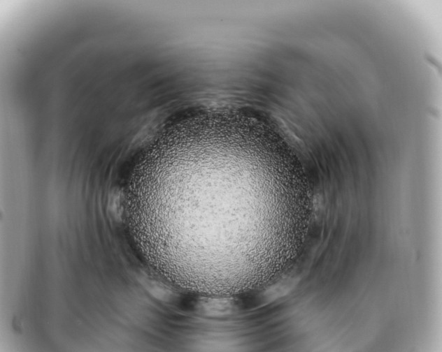 X0000095900671200801251225